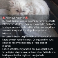 Cinsleri..