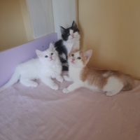 Tatlı beb..
