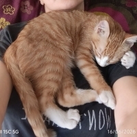 Çok sevec..