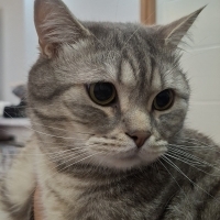 2 yaşında..