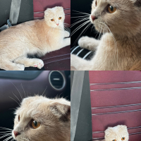 SOKAKTA B..