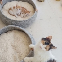 Bu güzel..