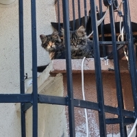 Eskişehir..