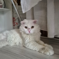 Bu güzel..