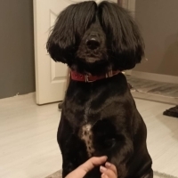 Lia Akıll..