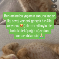 Benjamin..
