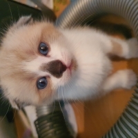 Minik kuş..