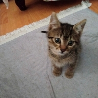 Güzel yav..