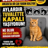 BİR DEPOD..