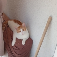 Oyuncu kı..