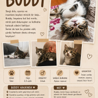 Buddy 2.5..
