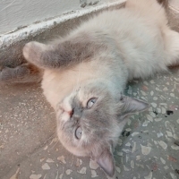 Kızımıza..