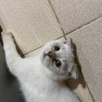 Minik oğl..
