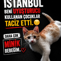 Tacize uğ..