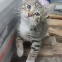 Güzel oğl..