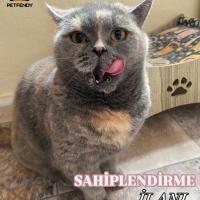 3 yaşında..