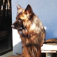 çocuklarl..