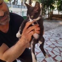 Çok sevec..