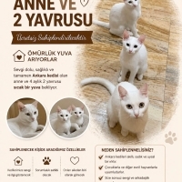 Anne ve 2..