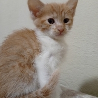 guzel kız..