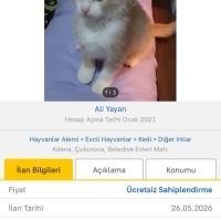 Onu gerçe..