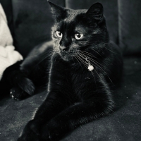 Luna için..