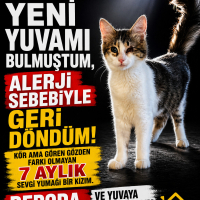 Huzur Ayl..
