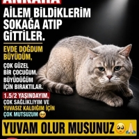 AYLARDIR BİR DEPODA KAPALI YAŞIYORUM,LÜTFEN YUVAM OLUN