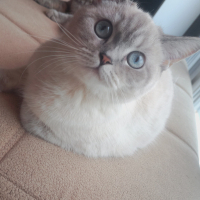 Çok masum..