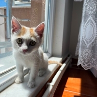 İlk günde..