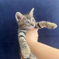 Çok küçük..