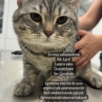 Eşref yuv..