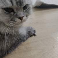 Çok sosya..