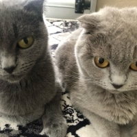 Anne ve kızı için bir yuva🤲