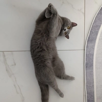 Kızımıza..