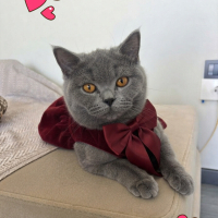 Gümüş kız..