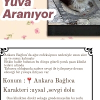 Acil Yuva..