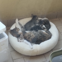 4 OYUNCU YAVRUMUZA YUVA ARIYORUZ!