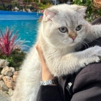 Oğlum Tof..