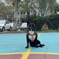 Güzel mel..