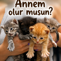Annem olu..