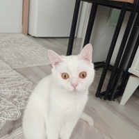 6 Aylık H..