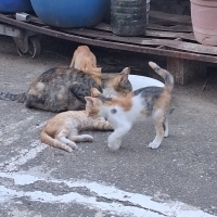 1 anne 3..