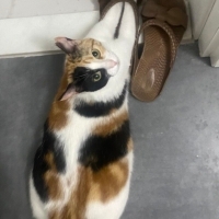 LOLA ömür..