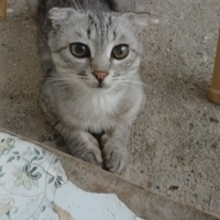 Adıyaman..