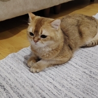 Sıcak bir..