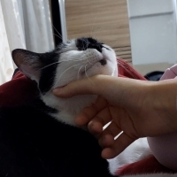 Çok masum sevecan ve sakin