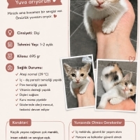 Çok miniğ..