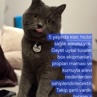 Cana yakı..