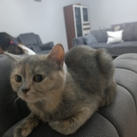 Müezza ço..
